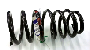 30639053 Coil Spring (Rear)